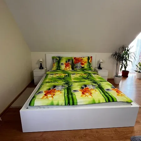 Zielony Gaj